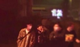 辛庄爆料事件视频最新,真相揭露与网络舆论风暴